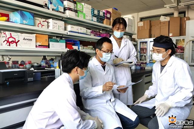 大學(xué)生科研項目分工怎么寫(大學(xué)生科研項目分工有哪些)