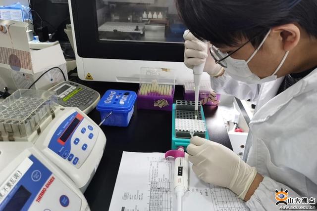 大學(xué)生科研項目分工怎么寫(大學(xué)生科研項目分工有哪些)