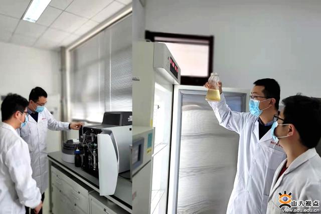 大學(xué)生科研項目分工怎么寫(大學(xué)生科研項目分工有哪些)