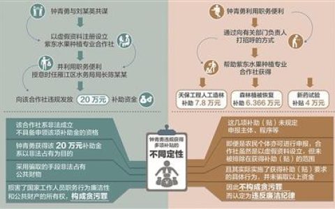 三堂會審｜同是違規(guī)獲得補(bǔ)貼為何定性不同從四川省資陽市雁江區(qū)委原副書記鐘青勇案說起