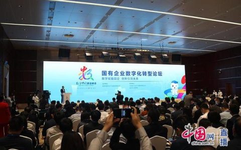 大象轉(zhuǎn)身：數(shù)字化下五大國有企業(yè)的蝶變路徑（數(shù)字化改革驅(qū)動(dòng)大象起舞）