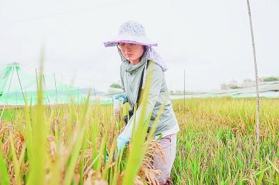 科研經(jīng)費(fèi)管理改革這十年：為人才助力，為創(chuàng)新加速（科研經(jīng)費(fèi)管理新政策）
