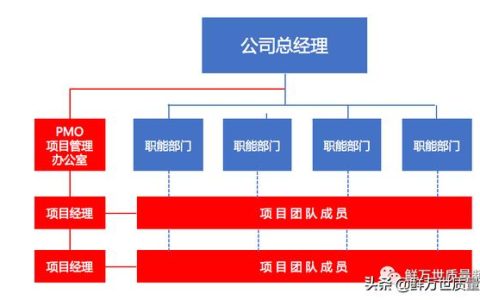 采用矩陣式項目開發(fā)模式，是否還需要建立PMO項目管理辦公室？（項目管理辦公室pmo實踐指南）