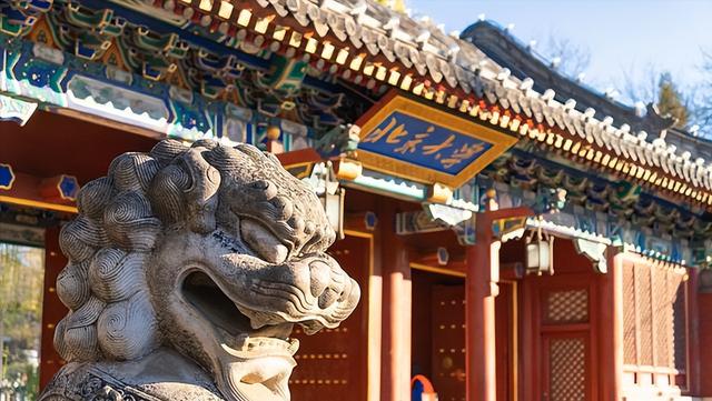 本科專業(yè)就業(yè)前50強(qiáng)，薪資較高的15個職業(yè)盤點，互聯(lián)網(wǎng)類較多（本科就業(yè)前50名專業(yè)）