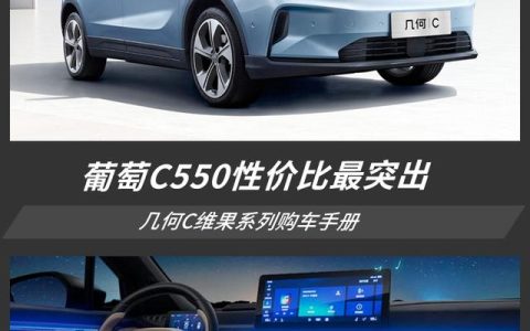 藍莓、葡萄、西柚都不錯！但幾何C葡萄C550更值得擁有