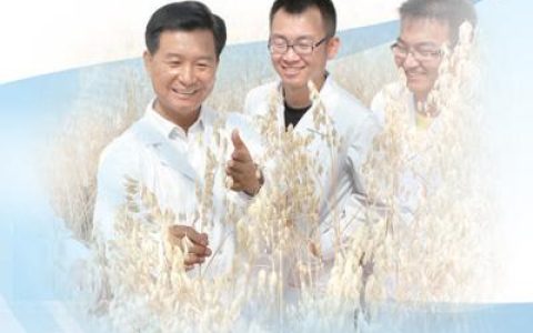 任長忠?guī)ьI(lǐng)團(tuán)隊開展科研攻關(guān)——破譯裸燕麥基因密碼（講述·弘揚科學(xué)家精神）