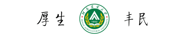 @小21，返校攻略，看這一篇就夠了（返校攻略第一章）