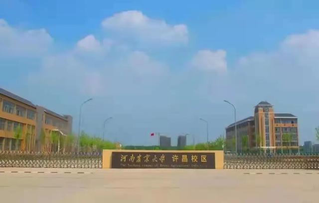 @小21，返校攻略，看這一篇就夠了（返校攻略第一章）
