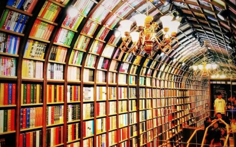 2020年圖書出版及發(fā)行項(xiàng)目投資分析報(bào)告（2020年圖書市場(chǎng)分析）