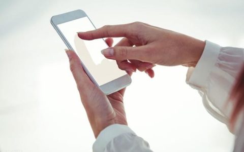 投標人必備的app有哪些？哪個好用？（哪個招投標app最好用）