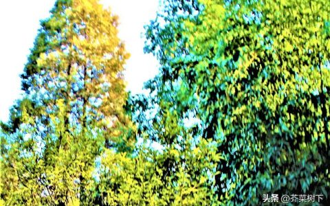 留住客戶，重點(diǎn)找對(duì)了嗎？（留住客戶,重點(diǎn)找對(duì)了嗎怎么說(shuō)）