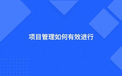 項目管理如何有效進行（項目管理如何有效進行管理）